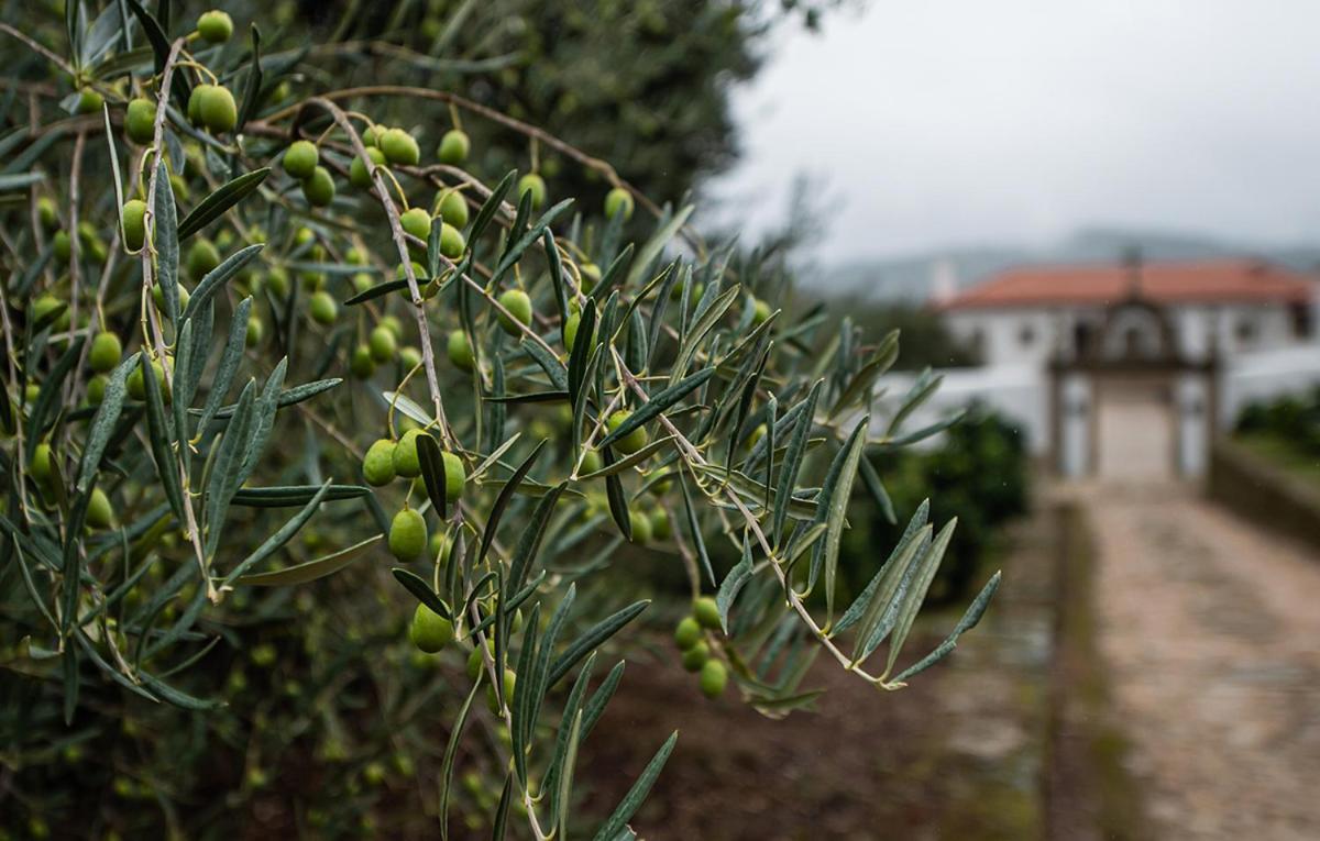 הוילה Tarouca Casa Do Olival מראה חיצוני תמונה